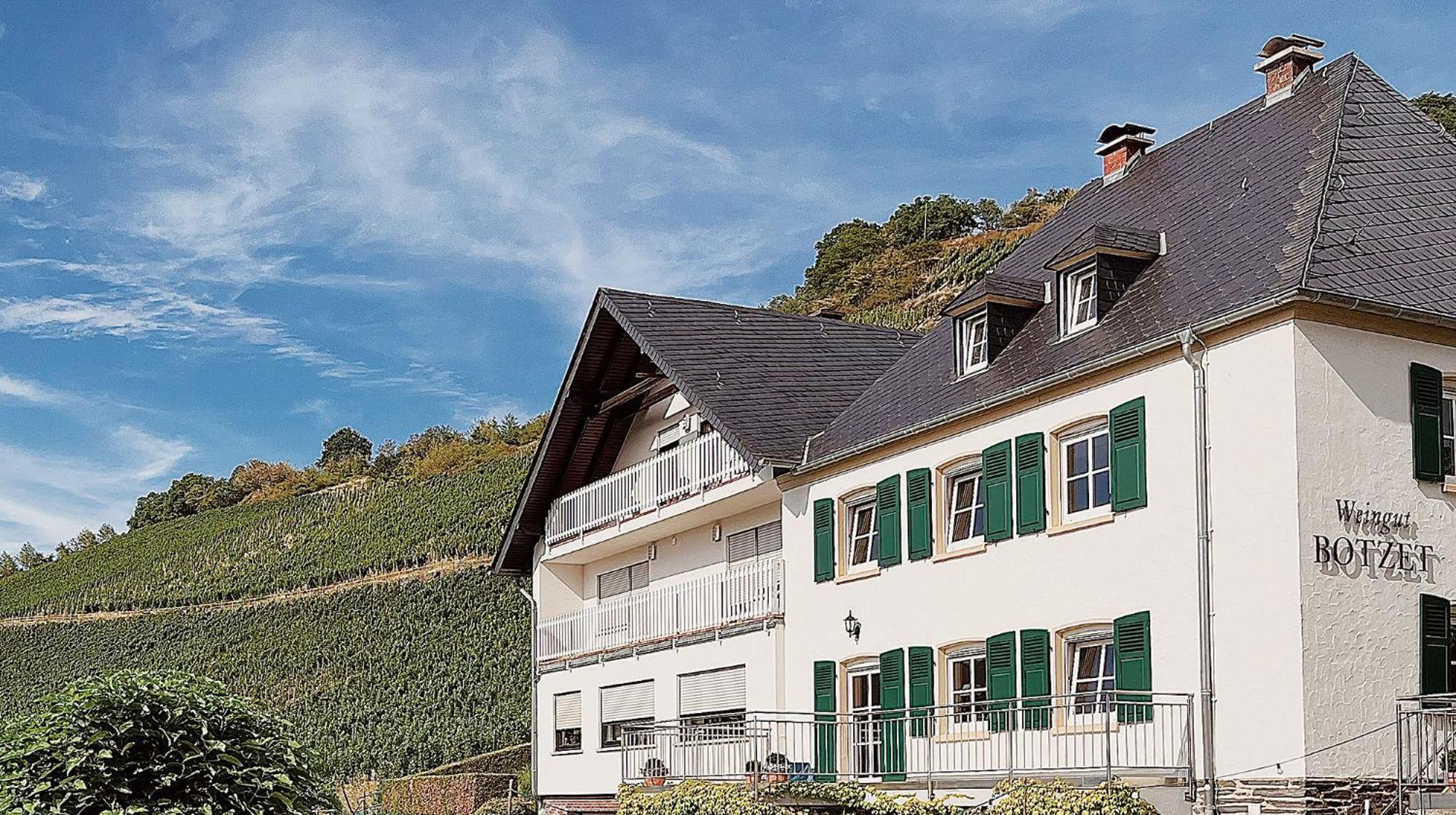 Pension 1595 Im Weingut Botzet Maring-Noviand Екстер'єр фото